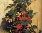 印度水芹 - 约翰内斯·埃弗特·艾克林格